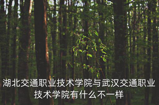 湖北交通職業技術學院，湖北交通職業技術學院和湖北職業技術學院哪個好
