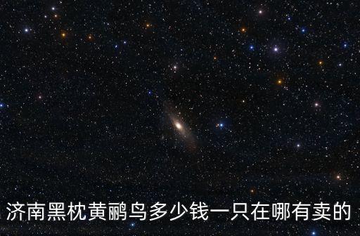 濟南黑枕黃鸝鳥多少錢一只在哪有賣的