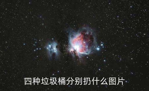 四種垃圾桶分別扔什么圖片