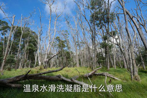 溫泉水滑洗凝脂，溫泉水滑洗凝脂是什么意思