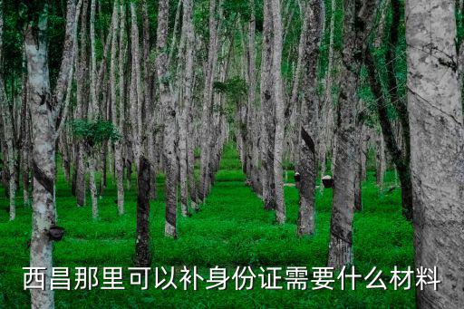 西昌那里可以補身份證需要什么材料
