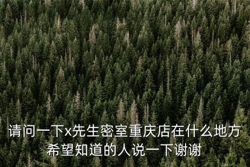 請問一下x先生密室重慶店在什么地方希望知道的人說一下謝謝