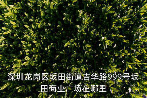 龍崗地圖，龍崗區坪地鎮四方埔馬塘村在龍崗區地圖上什么位置