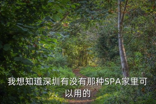 我想知道深圳有沒有那種SPA家里可以用的