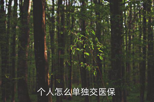個人交醫保，個人怎么單獨交醫保
