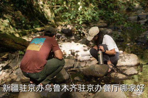 新疆駐京辦，北京駐新疆辦事處在哪