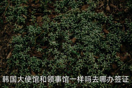 韓國大使館和領事館一樣嗎去哪辦簽證