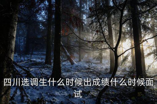 四川選調(diào)生什么時候出成績什么時候面試