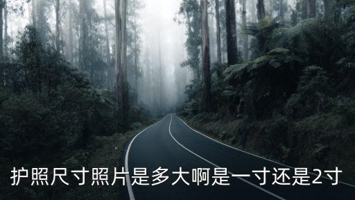 護(hù)照尺寸照片是多大啊是一寸還是2寸