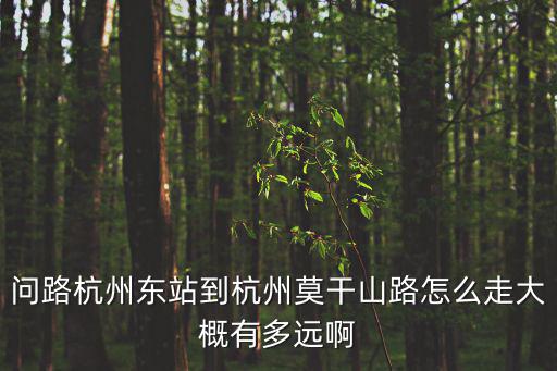 問路杭州東站到杭州莫干山路怎么走大概有多遠啊