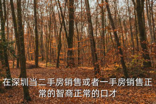 深圳一手房，深圳世聯行的一手房銷售是怎么樣的模式