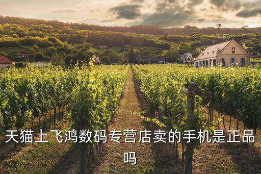 飛鴻數(shù)碼，天貓上飛鴻數(shù)碼專營店賣的手機是正品嗎