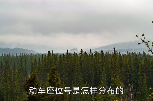 動車座位號是怎樣分布的