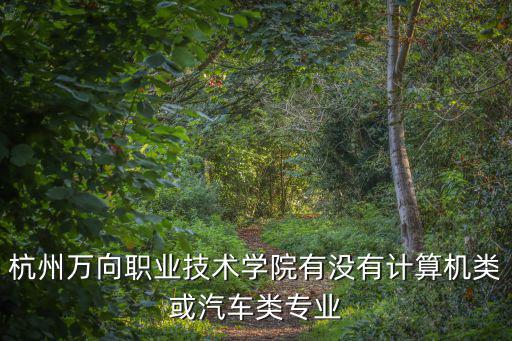 杭州萬向職業(yè)技術(shù)學院有沒有計算機類或汽車類專業(yè)