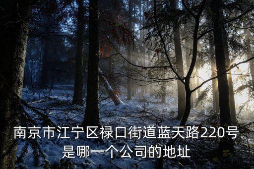 祿口街道，南京市江寧區祿口街道藍天路220號是哪一個公司的地址