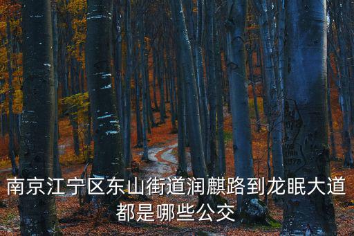 潤麒，南京江寧區東山街道潤麒路到龍眠大道都是哪些公交