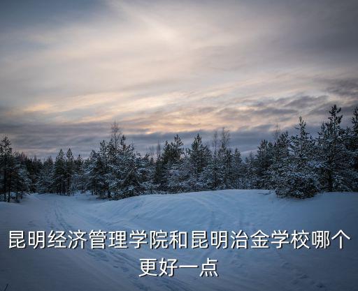 昆明經濟管理學院和昆明治金學校哪個更好一點