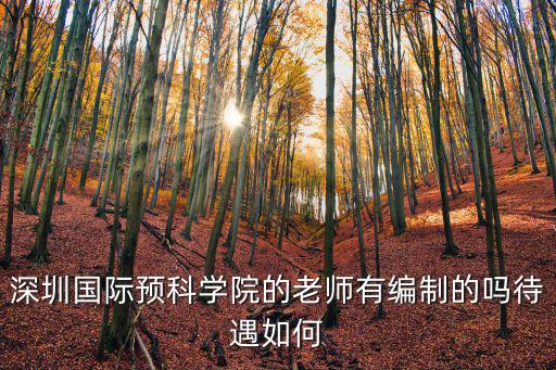 深圳國際預科學院的老師有編制的嗎待遇如何