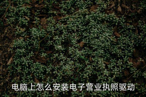 電腦上怎么安裝電子營(yíng)業(yè)執(zhí)照驅(qū)動(dòng)