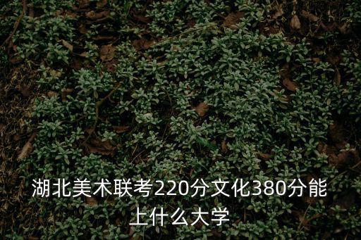 湖北美術聯考220分文化380分能上什么大學