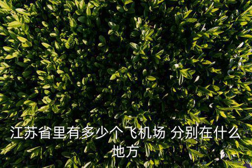 江蘇有多少機場，江蘇省里有多少個飛機場 分別在什么地方