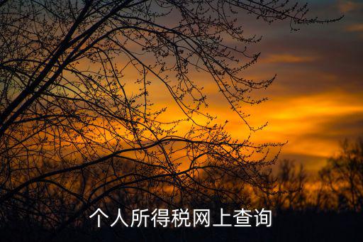 個(gè)人所得稅網(wǎng)上查詢