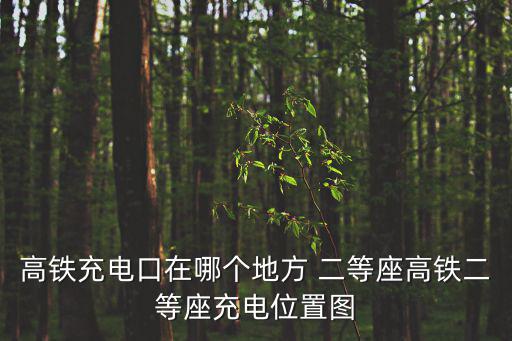 高鐵充電口在哪個地方 二等座高鐵二等座充電位置圖