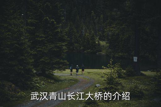 武漢青山長江大橋，武漢二七長江大橋南端下橋處在青山那里