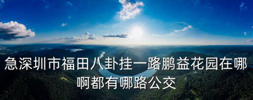 鵬益花園，深圳南山黨校到鵬益花園怎么坐車