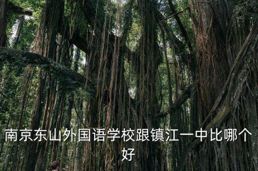 南京東山外國語學校跟鎮江一中比哪個好