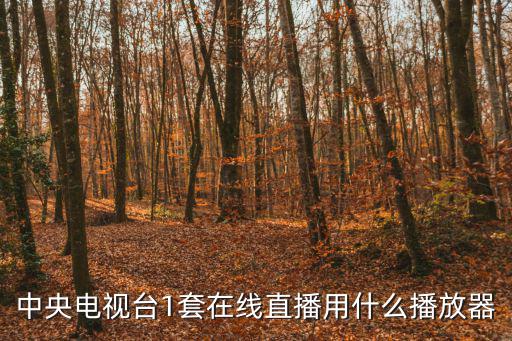 中央電視臺1套在線直播用什么播放器