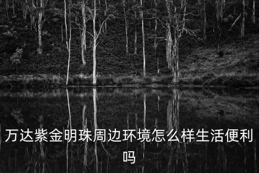 萬達紫金明珠，萬達紫金明珠對應(yīng)的小學怎么樣