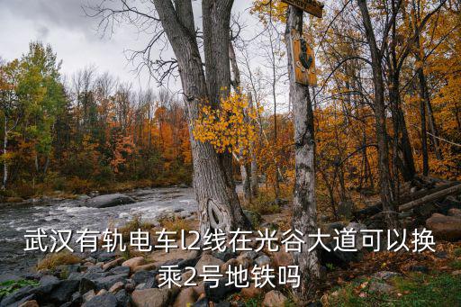 武漢有軌電車l2線在光谷大道可以換乘2號地鐵嗎
