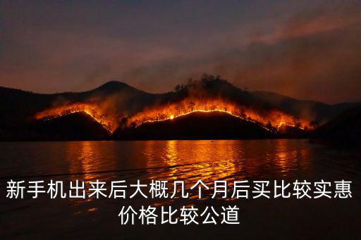 新手機出來后大概幾個月后買比較實惠價格比較公道