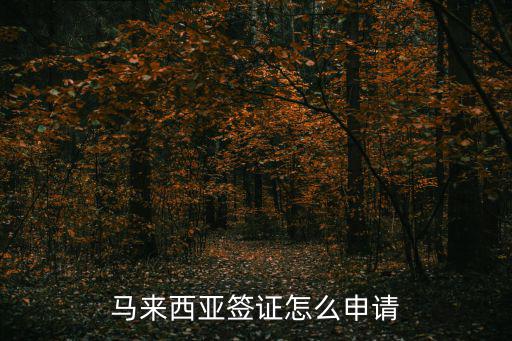 馬來西亞簽證怎么申請
