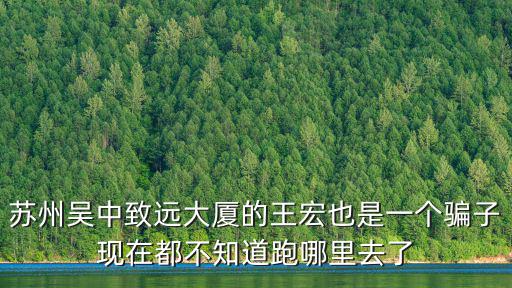 蘇州吳中致遠(yuǎn)大廈的王宏也是一個(gè)騙子現(xiàn)在都不知道跑哪里去了