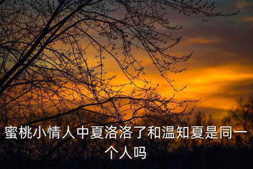 蜜桃情人，蜜桃情人的英語怎么