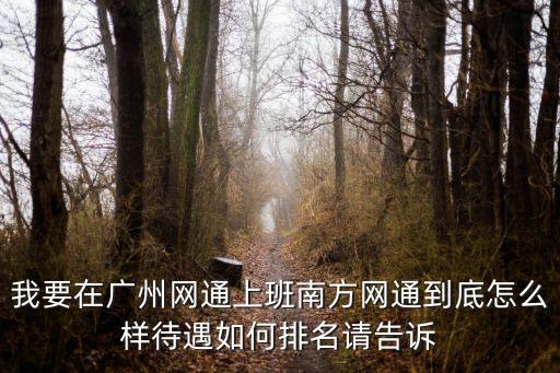 我要在廣州網通上班南方網通到底怎么樣待遇如何排名請告訴