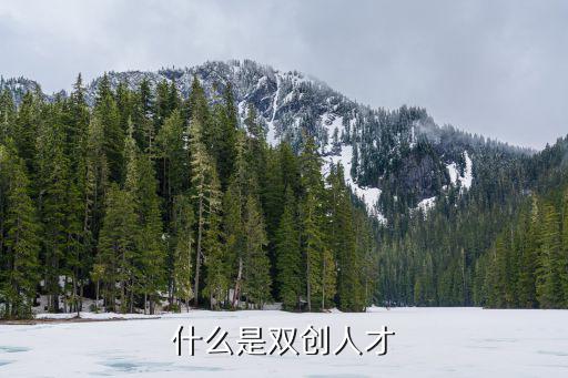 江蘇省雙創人才，江蘇人才創投聯盟副理事長是誰