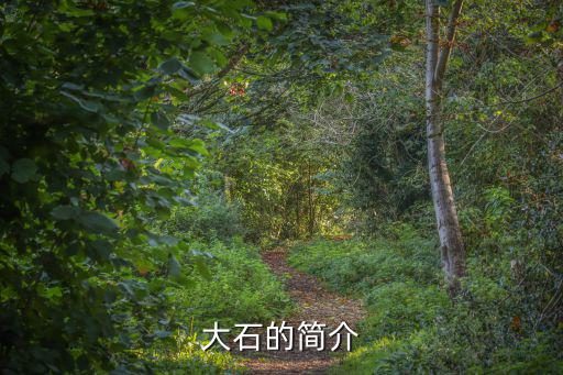 大石，大石的簡介
