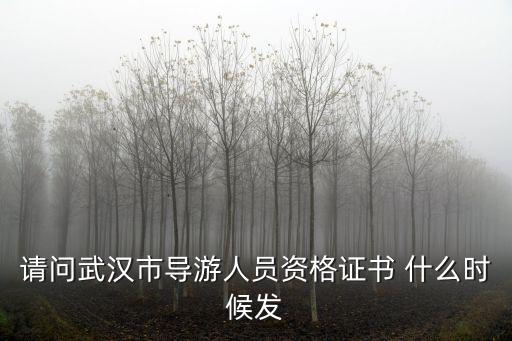請問武漢市導游人員資格證書 什么時候發