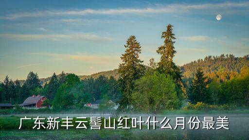 廣東新豐云髻山紅葉什么月份最美