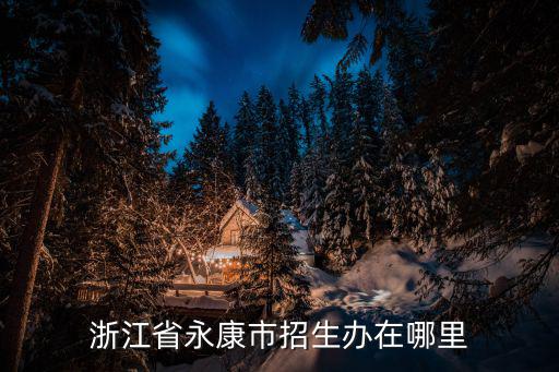 浙江省招生辦，浙江省永康市招生辦在哪里