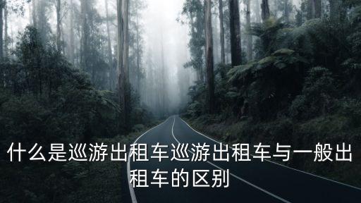 什么是巡游出租車巡游出租車與一般出租車的區別