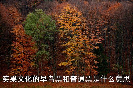 早鳥票是什么意思，2016百威電音節早鳥票多少錢