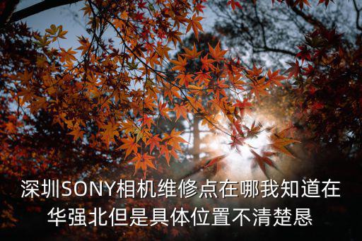 深圳SONY相機維修點在哪我知道在華強北但是具體位置不清楚懇