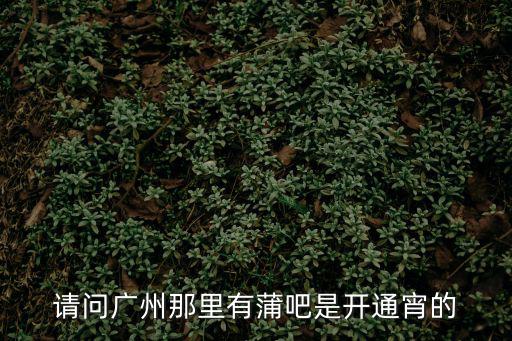 蒲吧，請問廣州那里有蒲吧是開通宵的
