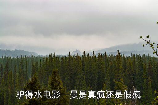 驢得水電影一曼是真瘋還是假瘋