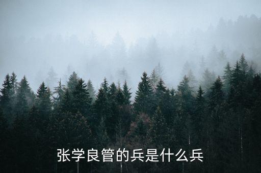 張學良管的兵是什么兵