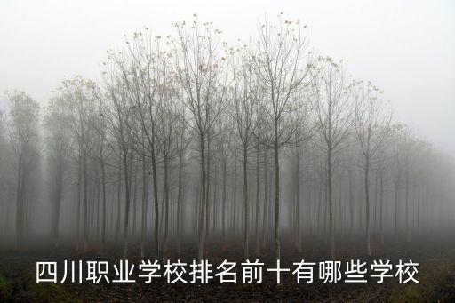 四川職業(yè)學校排名前十有哪些學校